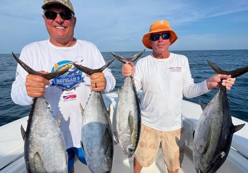 A couple of fishermen holding up their large catches while enjoying a day on Fishing Charters in St. Petersburg FL