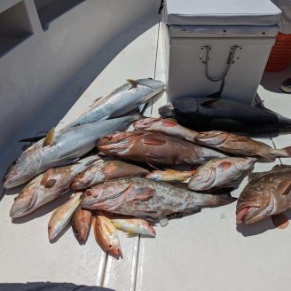 Tradewinds Fishing Charters image 2- fish we caught
