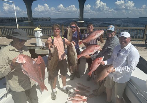 Party showing off their fish after Inshore Fishing in Tampa Bay FL