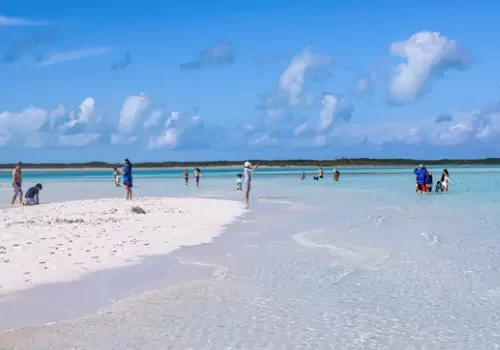 Groups of people visiting a sandbar while on Sandbar Trips in St. Petersburg FL