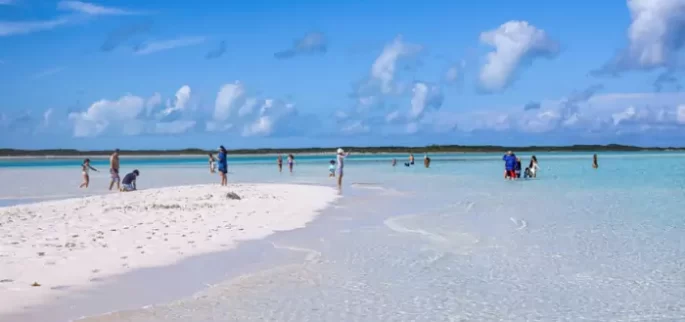 Fishing Charters & Tours