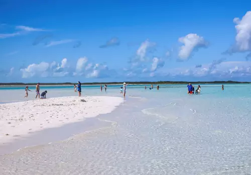 A beach visited during Sandbar Trips from Tradewinds Fishing Charters in St. Petersburg FL