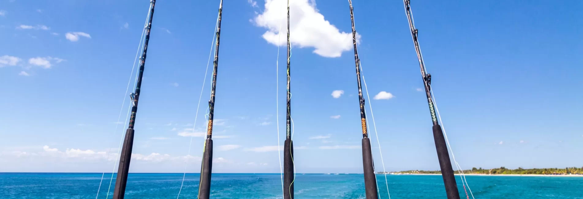 A bunch of fishing rods hanging off the boat with Tradewinds Fishing Charters
