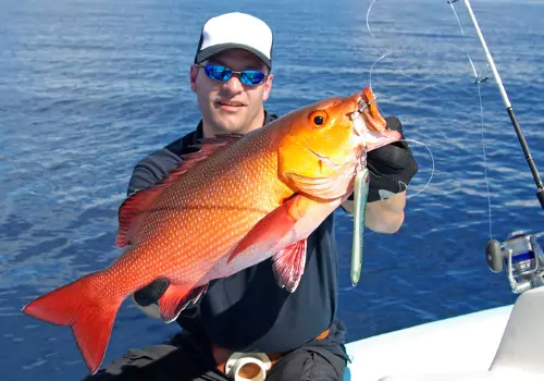 Guided Fishing & Boat Tours in Clearwater, FL