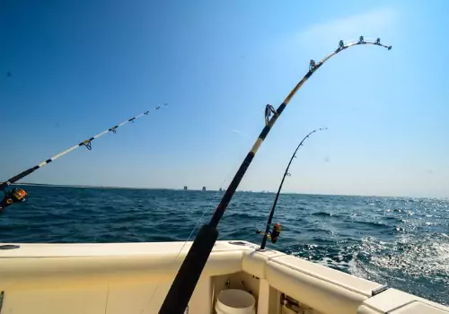 Guided Fishing & Boat Tours in Clearwater, FL
