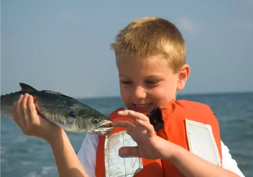 A boy holds a fish he caught during one of the Fishing Trips in Anna Maria FL that Tradewinds Fishing Charters offers