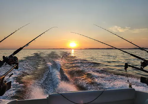 Fishing Trips Siesta Key FL